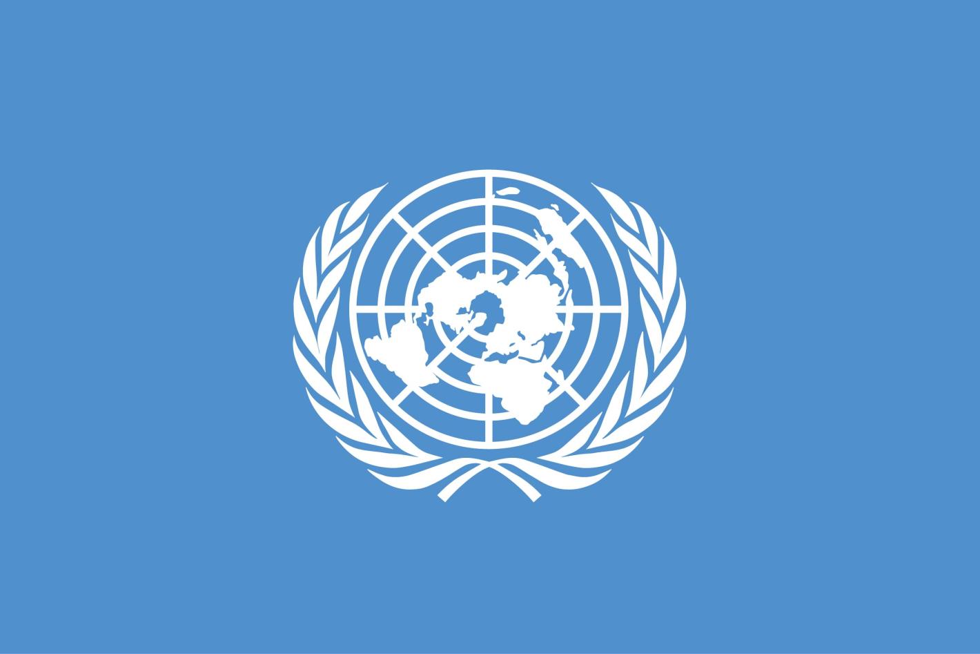 UN flag article