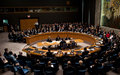 Security Council renews UNDOF Mandate 30 June 2017